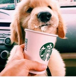 Meet your Posher, Kendall